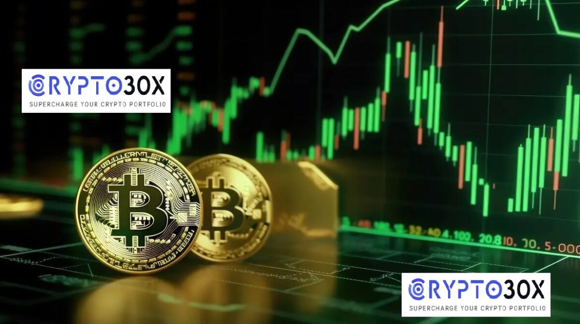 Crypto30x.com: A Comprehensive Guide to Cryptocurrency Trading and Investment